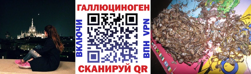 где купить наркоту  Пермь  Псилоцибиновые грибы ЛСД 